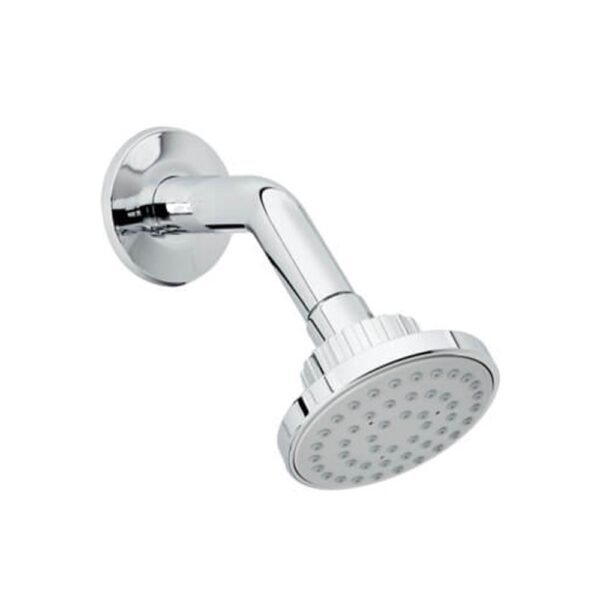 DL4043331 B*6 PQTE REGADERA CON BRAZO DALIA DL4043331