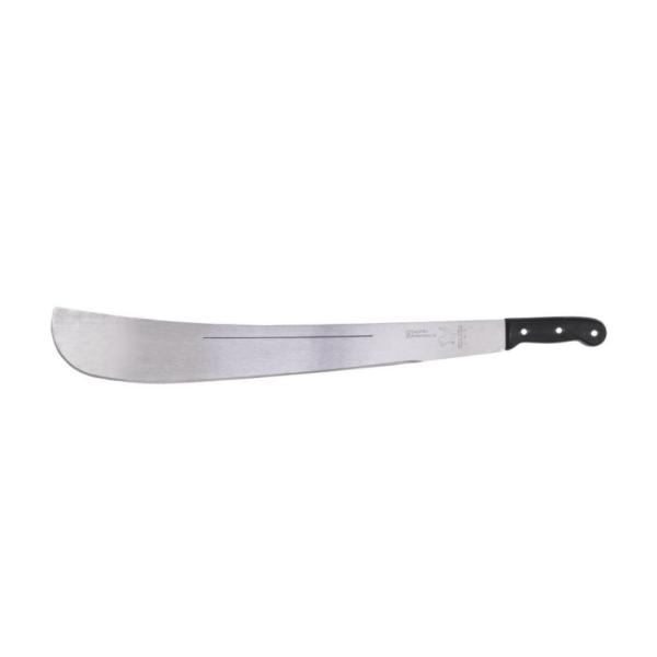 65105124  RULA 24"  AGUILA  PACIFICO  191 H