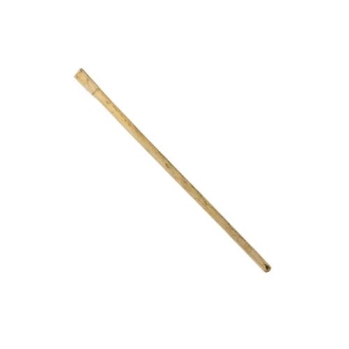 LIS003.webp